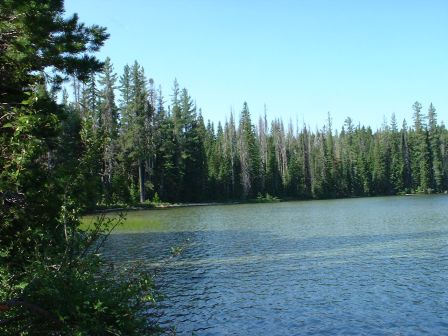 View of Deer Lake along trail