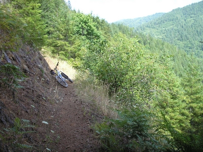 One section of the Exposed Hillside on Wilson River Trail