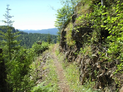 Kings Mountain Trail approaching a cliff in the Tillamook Forest